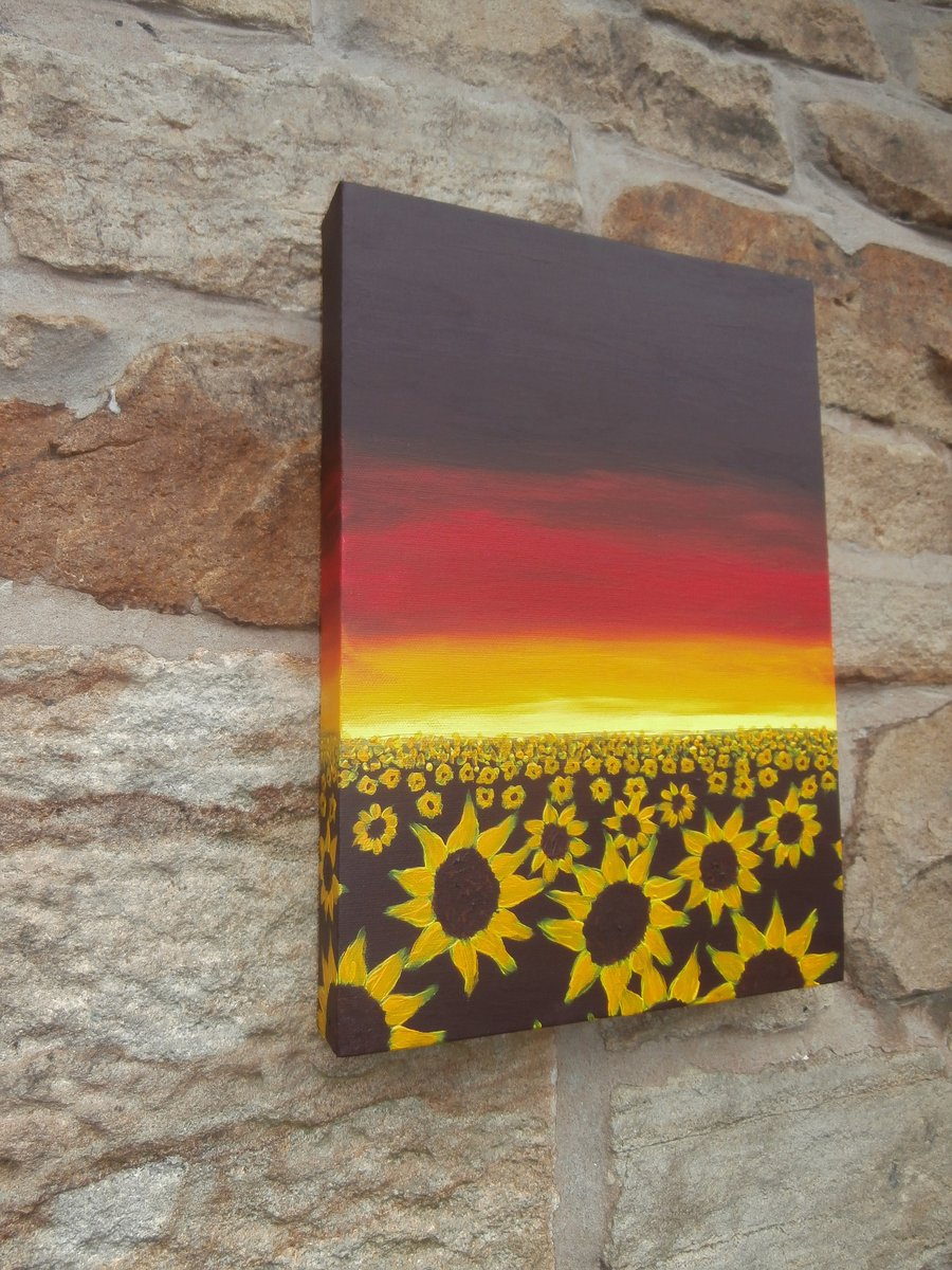 Sunflowers original acrylic painting on boxed canvas. 'Fields of gold'
