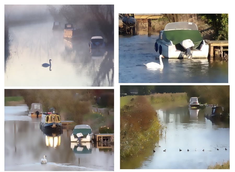 Pack of 4 Cards Life on the Fens Bird Cards A5