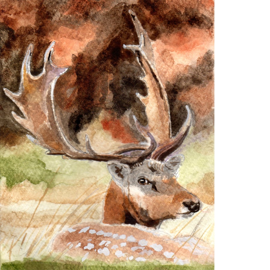 Fallow deer stag in Richmond Park. Original watercolour painting.