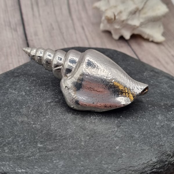 Real conch seashell preserved in silver, beautiful ornament 