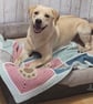 Puppy Pawprint Blanket Crochet Pattern, Blanket Crochet Pattern - Image 2