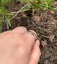 Shoreline ring - Image 2
