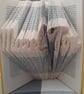 Mazel Tov MMF Book folding Pattern - EMAILED PDF PATTERN - Image 1