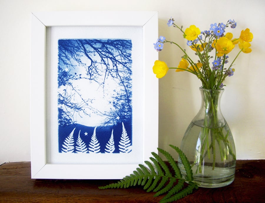 'Fern forest twilight' Original Cyanotype