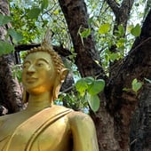Itsara
