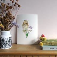 Tawny Owl and Ivy Berries A5 Giclée Fine Art Print