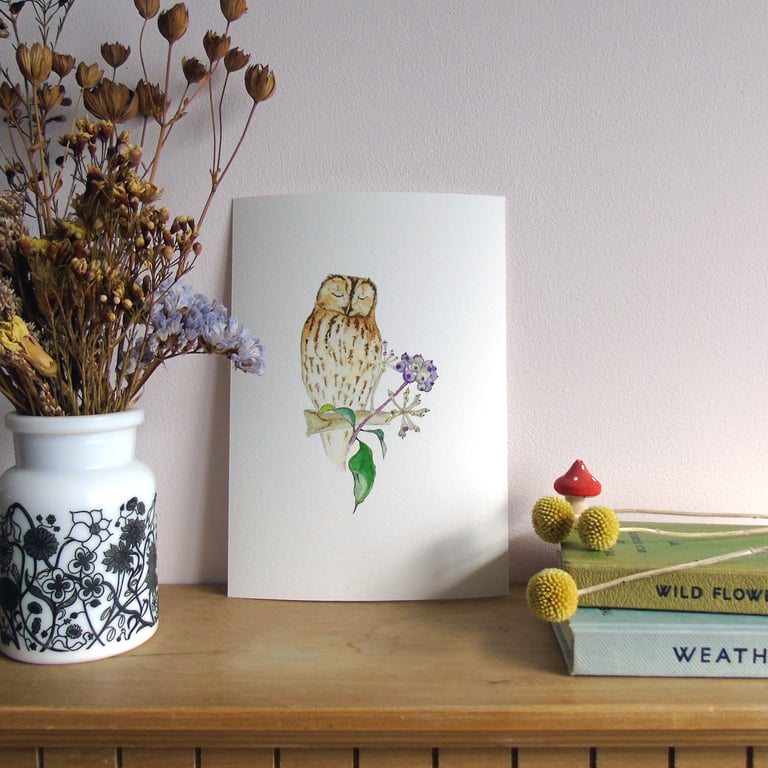 Tawny Owl and Ivy Berries A5 Giclée Fine Art Print