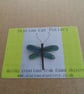 Dragonfly  - Image 8