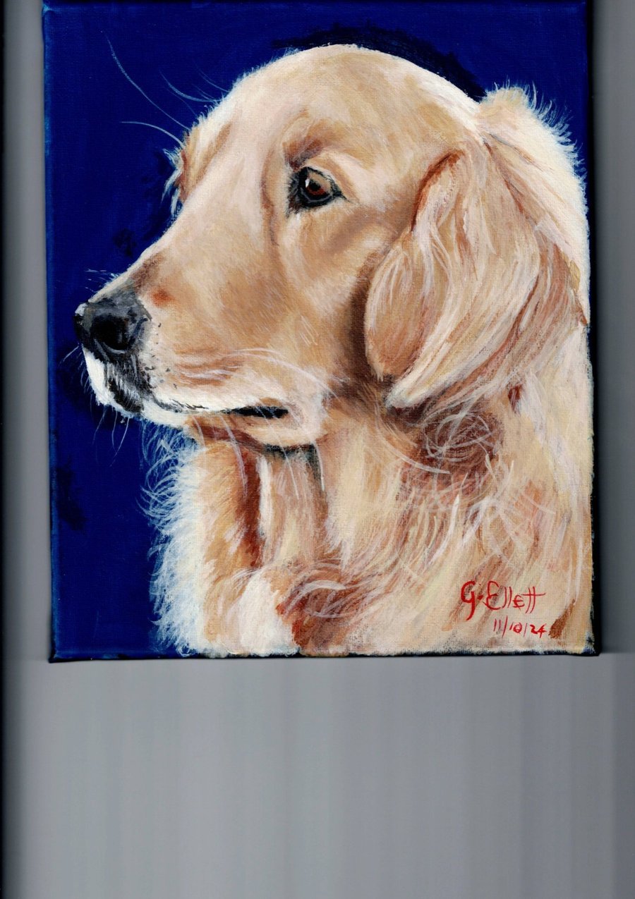 I'm so handsome" Golden retriever