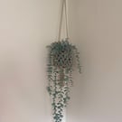 Handmade Crochet Plant Hanger - Rustic Hanging Plant Holder - Boho Home Decor