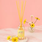 Petals & Musk Daisy Reed Diffuser – Fresh Floral Home Fragrance