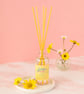 Petals & Musk Daisy Reed Diffuser – Fresh Floral Home Fragrance