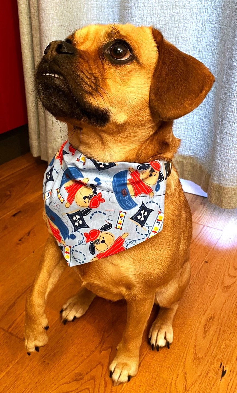 Pirate Pup dog bandana, reversible, over-the-collar style 