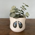 Perfectly imperfect mussel shell plant pot - coastal home decor
