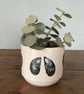 Perfectly imperfect mussel shell plant pot - coastal home decor