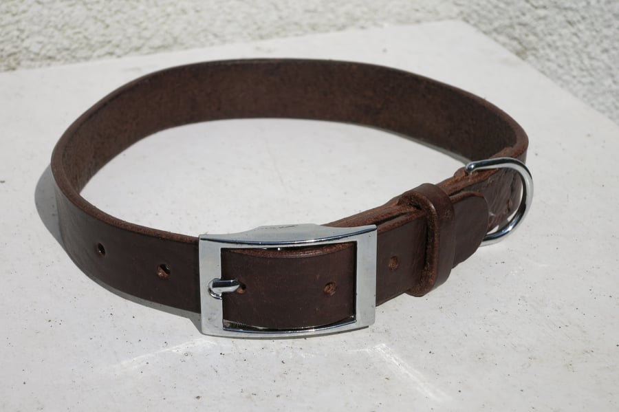 Brown leather dog collar