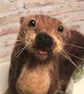 Otter with fish needle felting soft sculpture  - Image 4