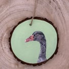 Greylag Goose Bird Portrait Decoration 