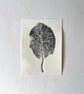 ACEO Mini Autumnal Leaf Print - Image 4