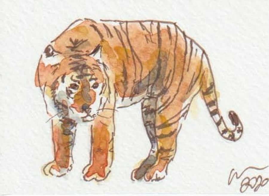 ACEO Art Tiger Study Original Watercolour & Ink Painting OOAK
