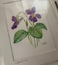 Original watercolour painting - Violets - Image 4