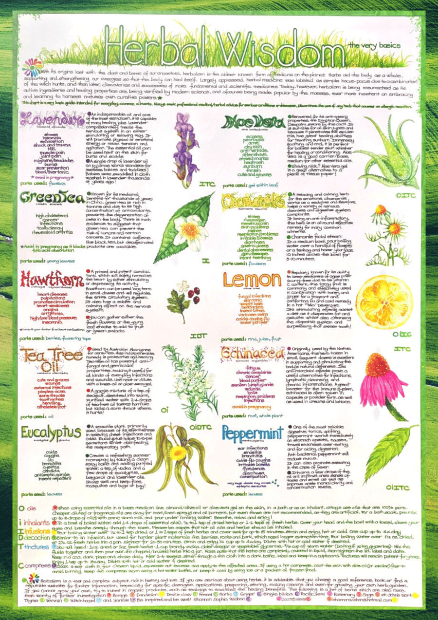 Herbal Wisdom Chart