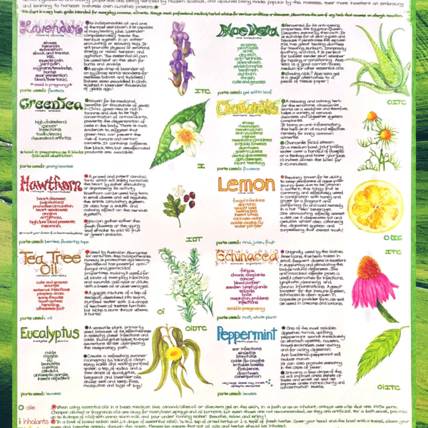 Herbal Wisdom Chart