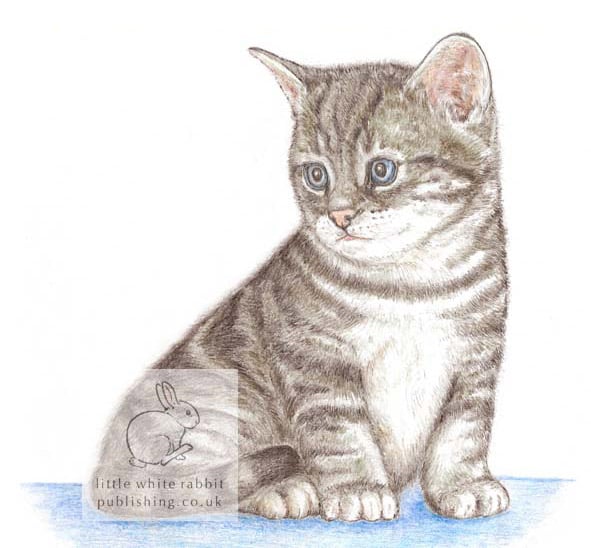 Tommy the Kitten - Blank Card