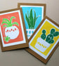 3 Card Bundle - Image 3