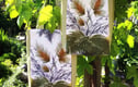 Home decor and gifts in Vintage fabrics