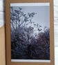 Winter Frost Photo Greetings Card (B), Christmas Card, Notecard - Image 3