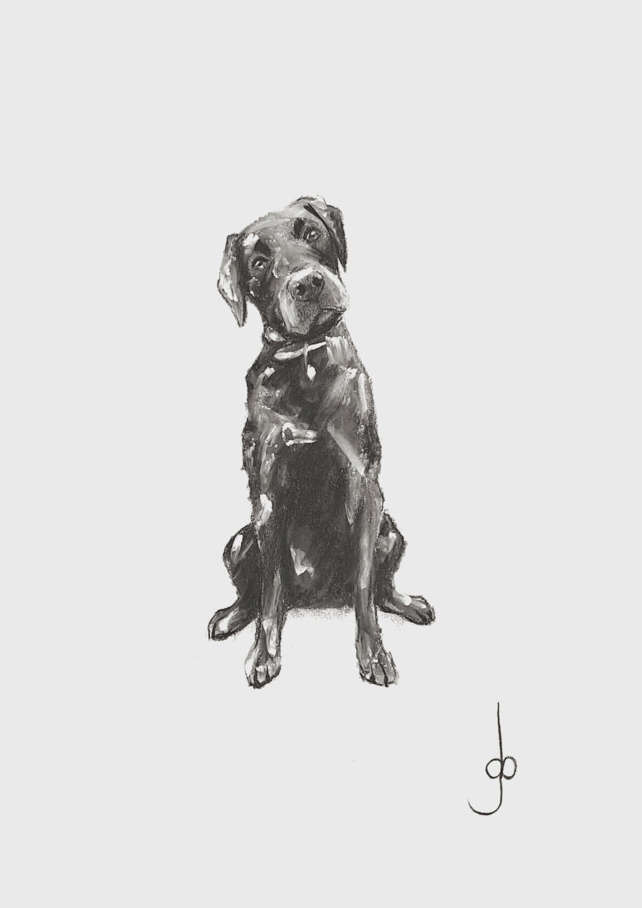 Labrador Sitting A5 Art Print