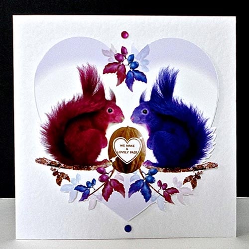 Valentine’s Day – A Lovely Pair of Squirrels Handmade Card. 