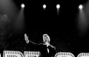 Music Artists Concerts Photographs Prints