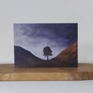 Sycamore Gap, Iconic Tree Painting, Northumberland Landsscape
