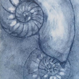 Duet ammonite fossil card modern artist card jurassic coast cellophane free