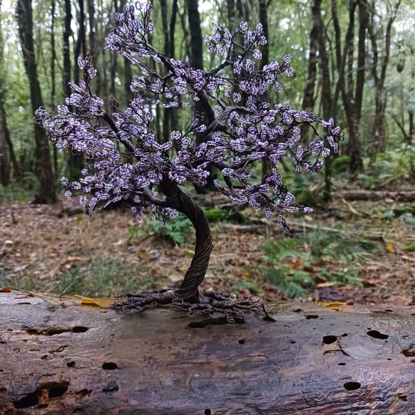 Wire Bonsai Tree Sculpture