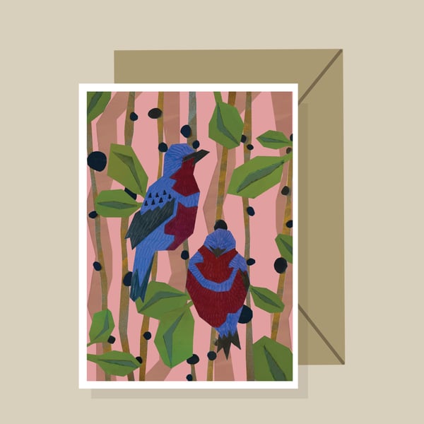 Endangered Species Greeting Card (Banded Cotinga)