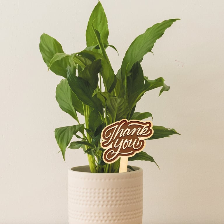 Thank You Plant Tag - Cute Thoughtful Thank You Appreciation Gift Small Present 