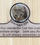 Pet Memorial with actual picture