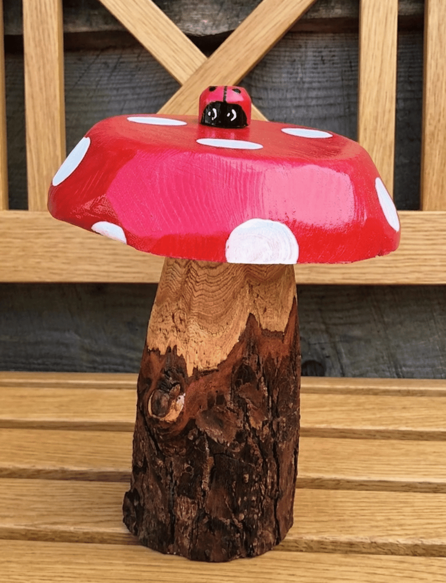 Red spotty Toadstool