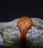 Birch Spoon Spoon - Image 2