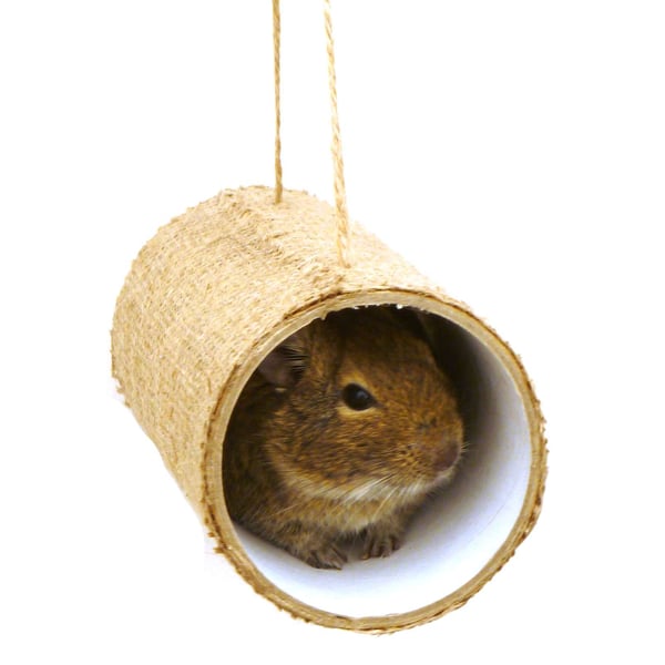 Totally Degu Premium Chewchewbs - Two Pack