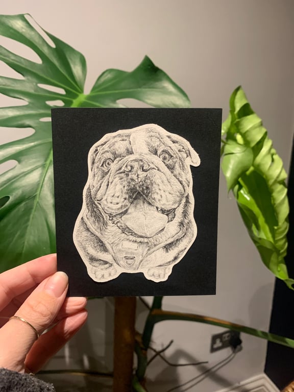 Pencil Sketch Pet Portrait