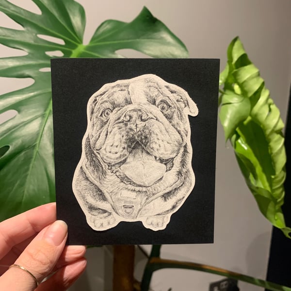 Pencil Sketch Pet Portrait
