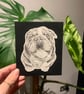 Pencil Sketch Pet Portrait