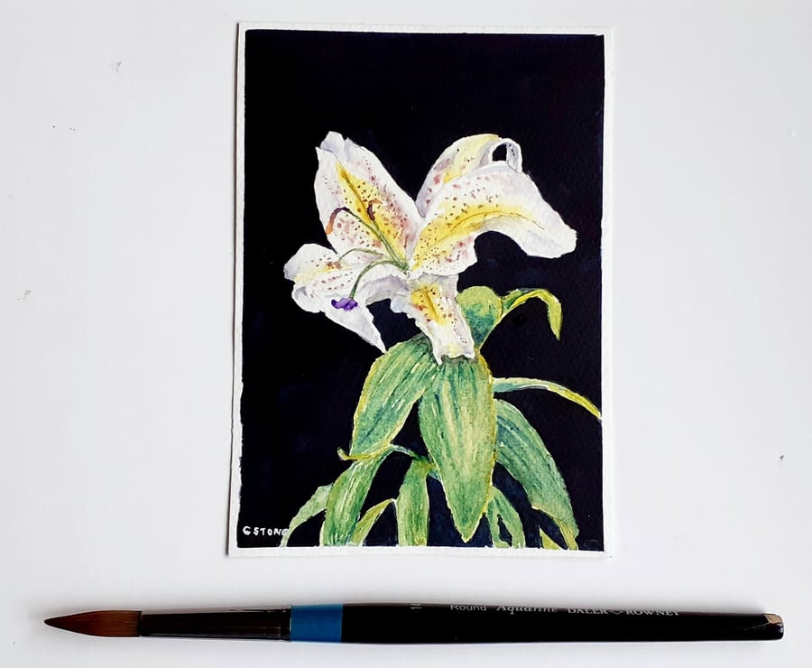 Small watercolour painting Single White Lily still life