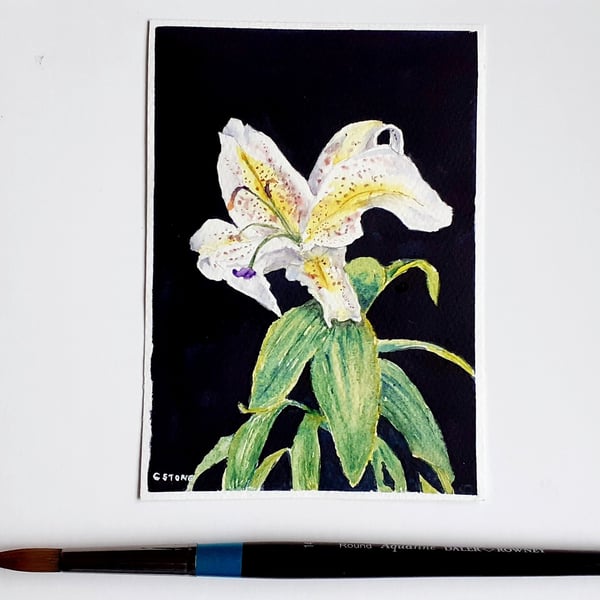 Small watercolour painting Single White Lily still life