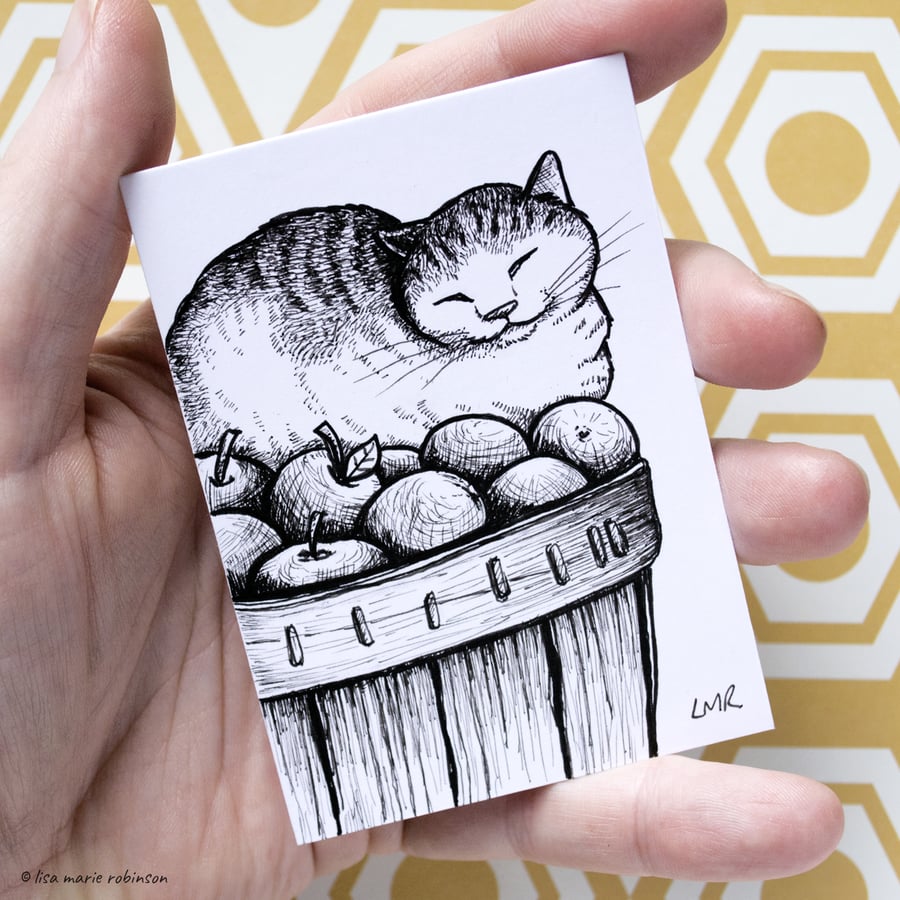 Sleeping Cat and Ripe Apples ACEO - Inktober 2019 - Day 31 - Ink Drawing Pen Art