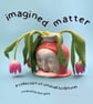 imagined matter
